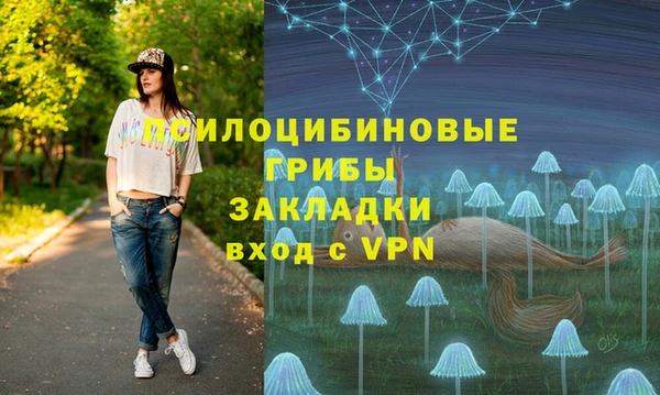 стаф Пересвет