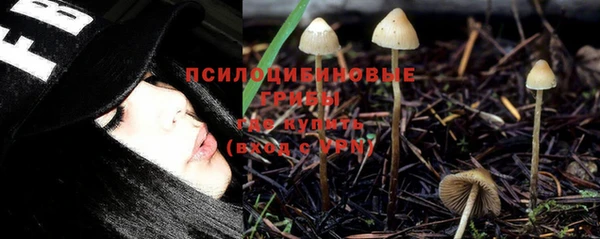 стаф Пересвет